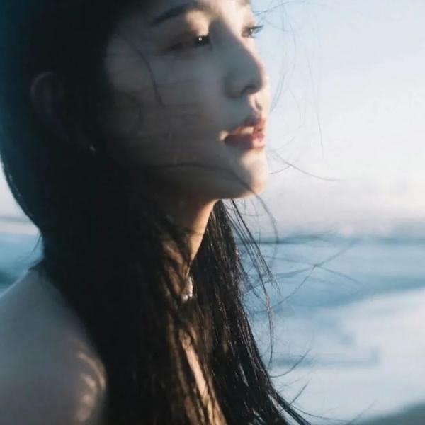 竞选伙伴
